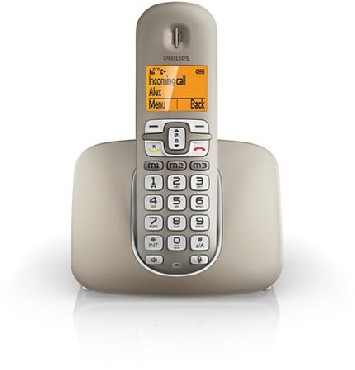 Telefon bezprzewodowy Philips XL3901S/53