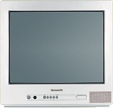 Telewizor Panasonic TX-21JT2P