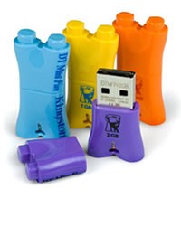 Przenona pami USB Kingston DTMFY 1GB