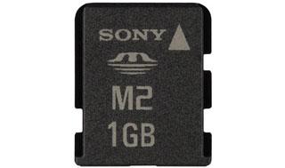 Karta pamici Sony MSA1GW