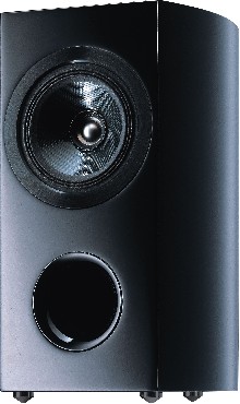 Monitor Pioneer S-81B-LR