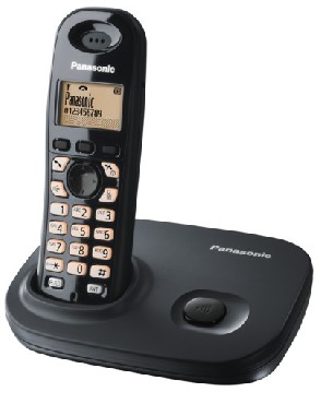 Telefon bezprzewodowy Panasonic KX-TG7301PD