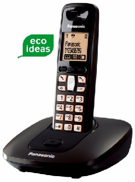 Telefon bezprzewodowy Panasonic KX-TG6411PD