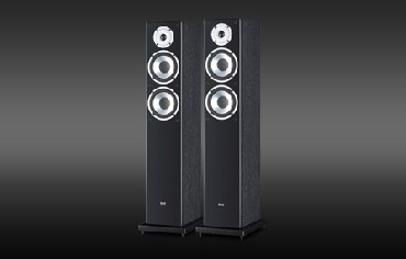 Kolumna gonikowa Elac FS 57.2