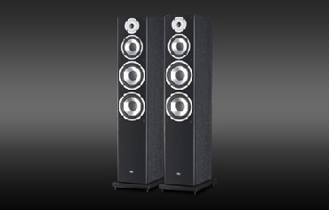 Kolumna gonikowa Elac FS 58.2