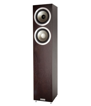 Kolumna gonikowa Tannoy REVOLUTION  DC6 T